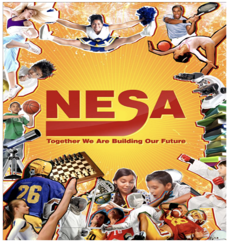  экрана 2026-02-17 в 15.54